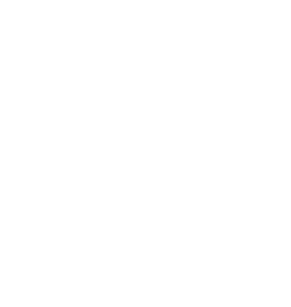 Asset 7