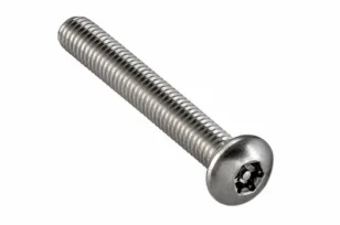 An image of a security fastener.
